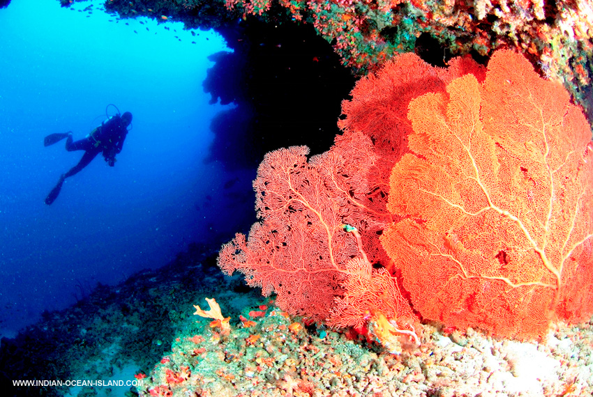 Maldives