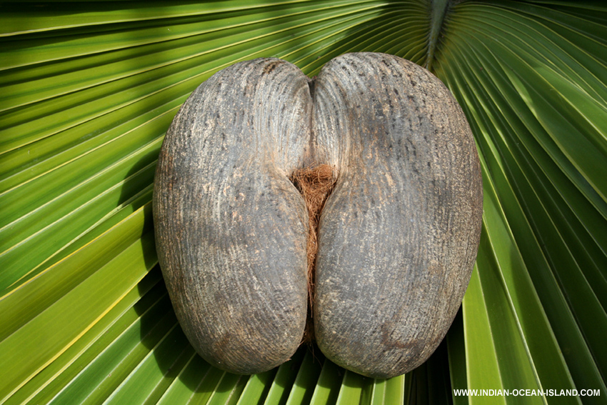 Seychelles